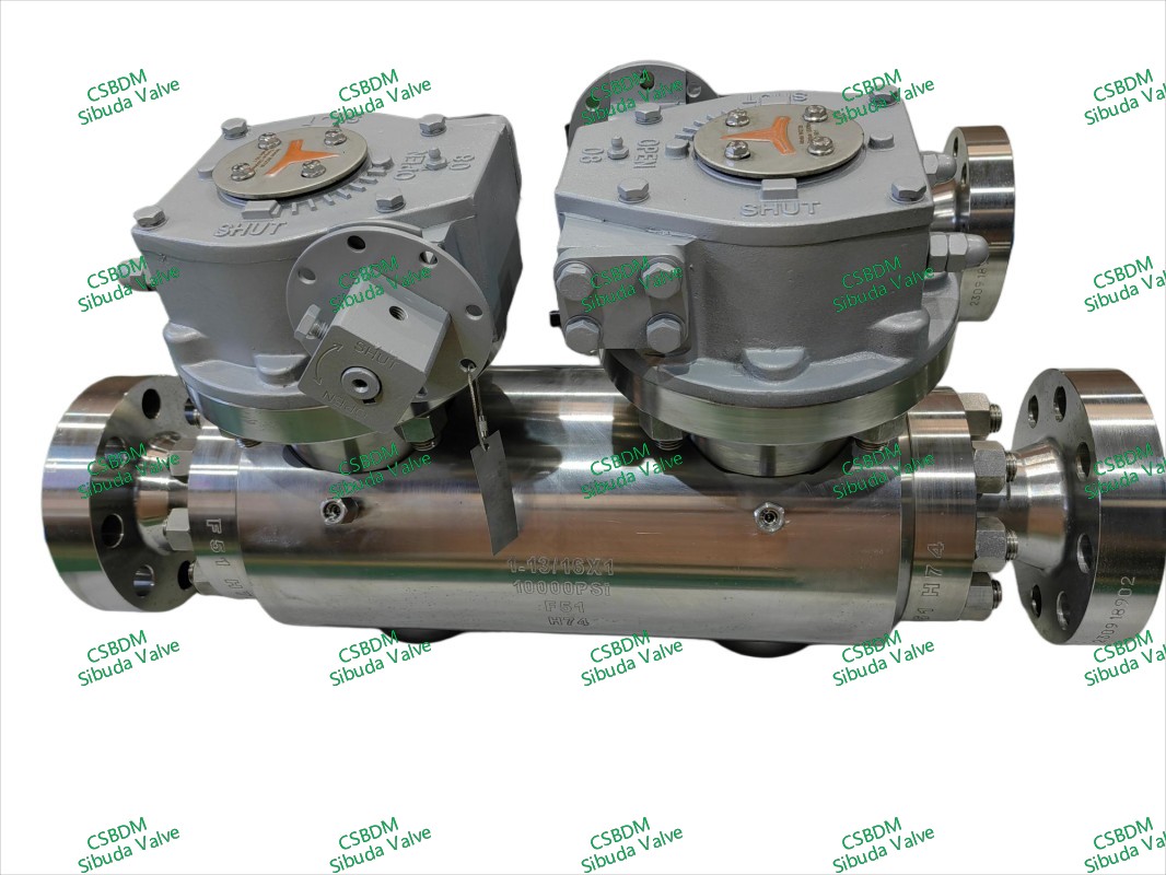 DBB Ball Valve (Double Ball)