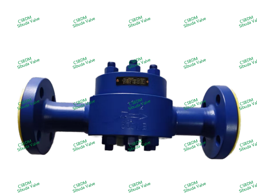 Steam Trap Valve
